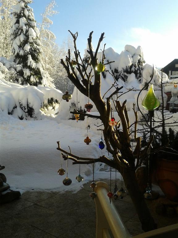 Špindlerŭv Mlýn 安达特旅馆酒店 外观 照片